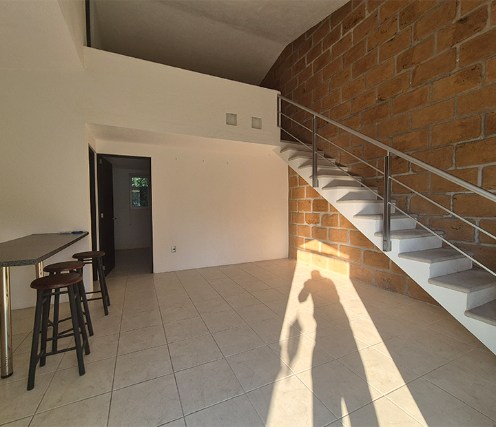 2lofalbercacocoyoc1-720x620