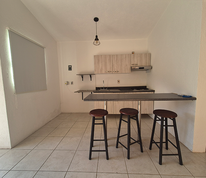 5lofalbercacocoyoc4-720x620